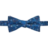 Egara Pre-Tied Bow Tie, Light Green Floral