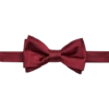 Egara Pre-Tied Formal Bow Tie, Burgundy