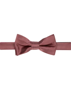 Egara Pre-Tied Formal Bow Tie, Deauville Mauve