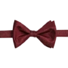 Egara Pre-Tied Bow Tie, Burgundy